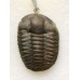 Přívěšek z trilobita